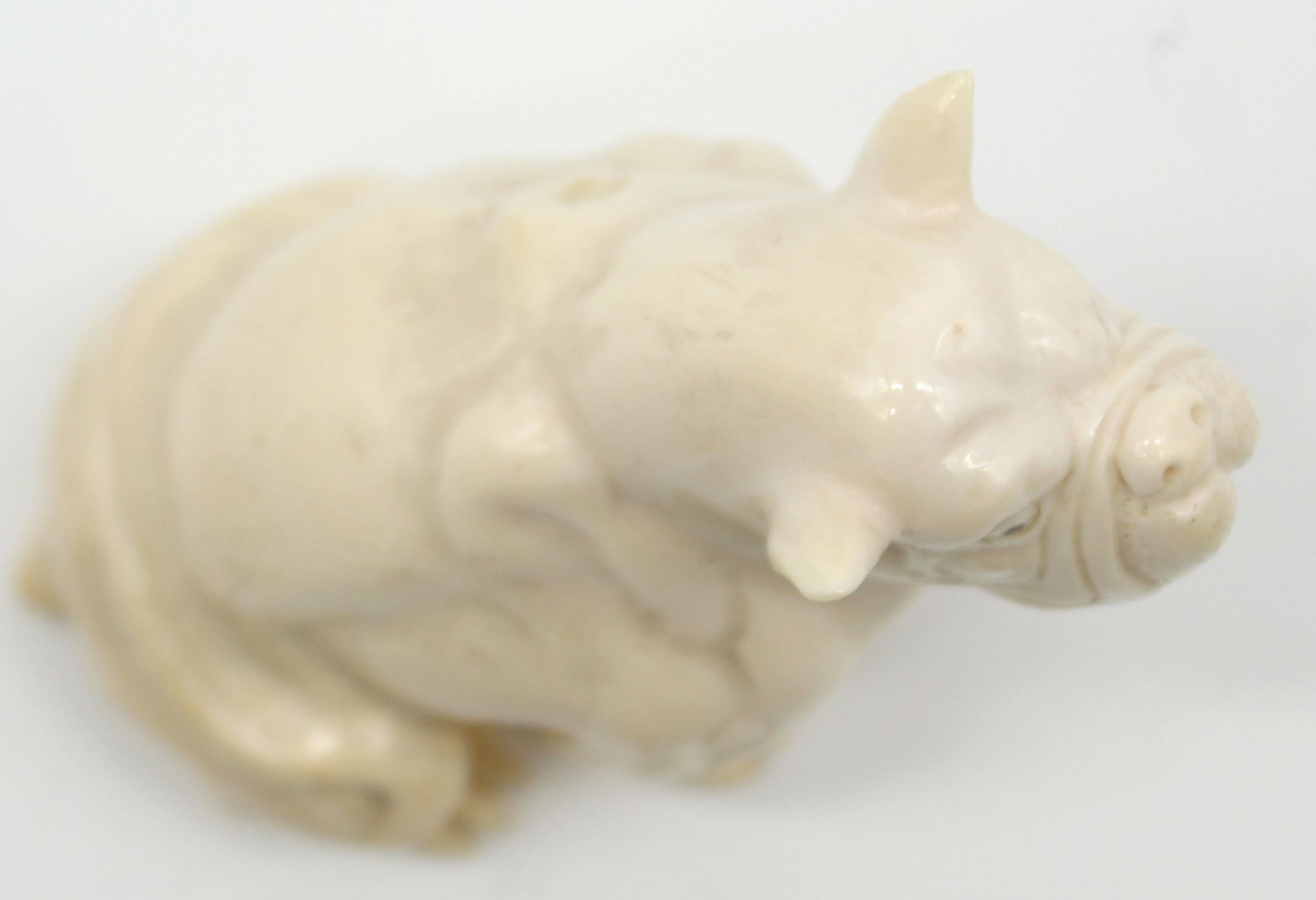 Dog ivory bulldog? around 1900. Probably Erbach. - Image 6 of 9