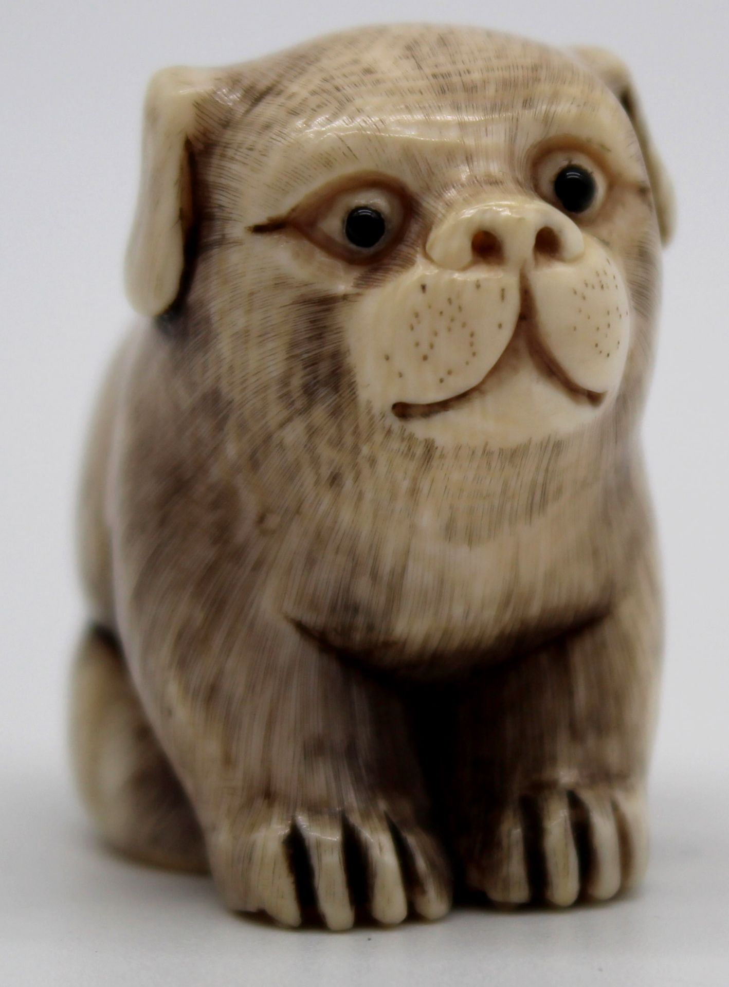 5 figures, sculptures dogs. Pug? - Image 5 of 16