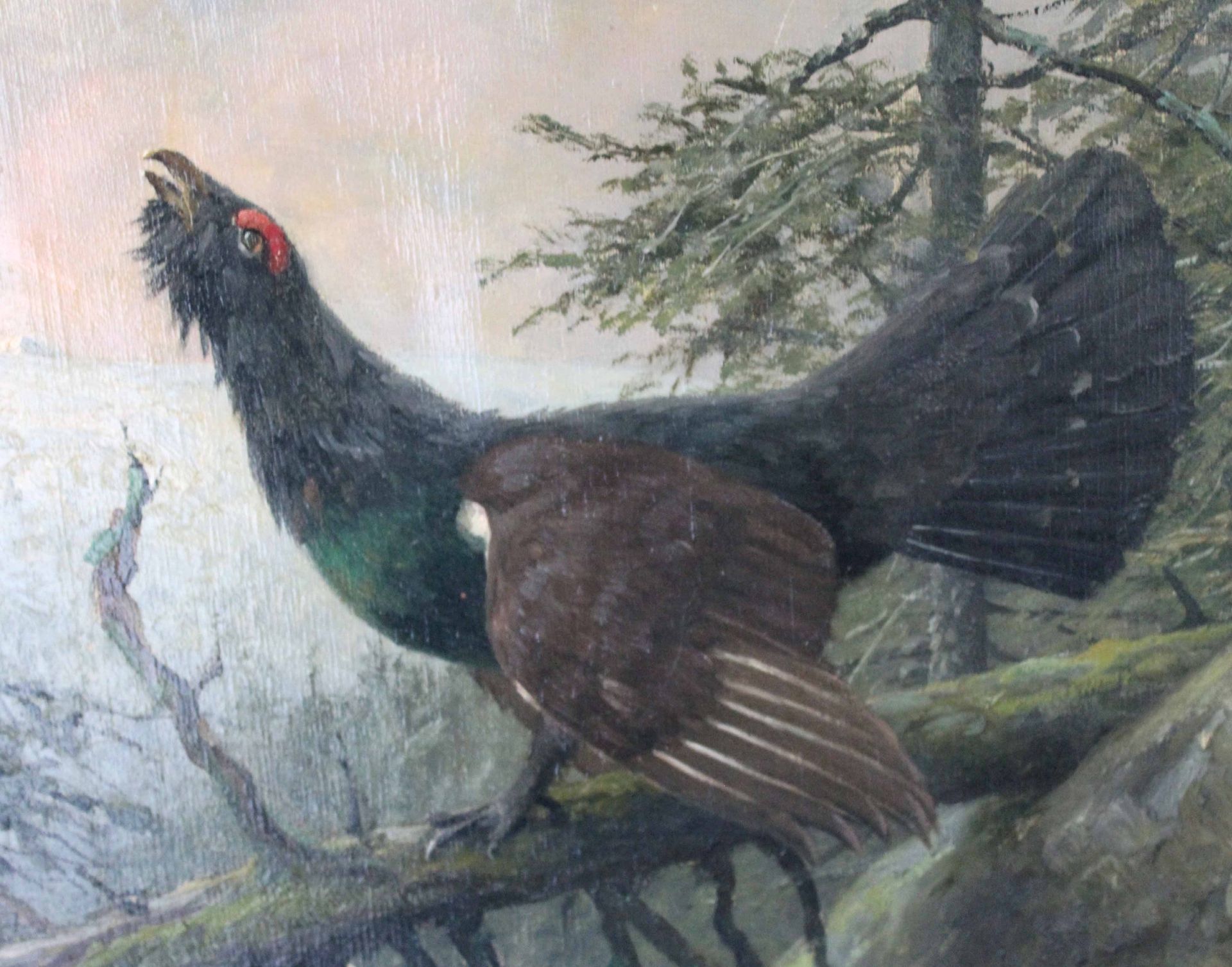 Carl ZIMMERMANN (1863 - 1930). Capercaillie and partridge in front of the Schneekoppe. - Image 4 of 17