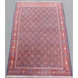 Senne Persian carpet. Iran. Around 60 - 100 years old.