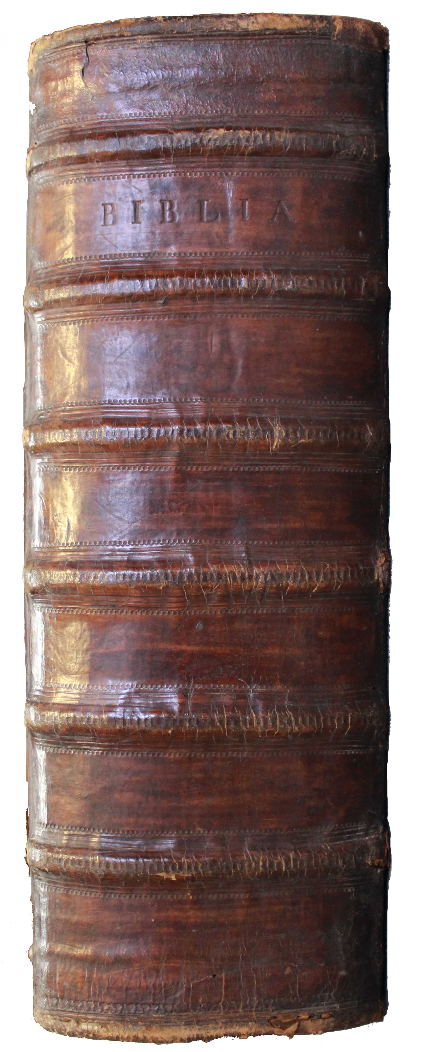Luther Bibel. Tübingen, 1729. Publisher: Christoph Matthäus Pfaff. - Image 19 of 22