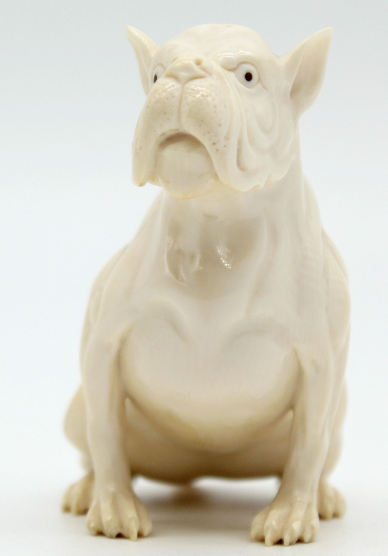 Dog ivory bulldog? around 1900. Probably Erbach. - Image 2 of 9