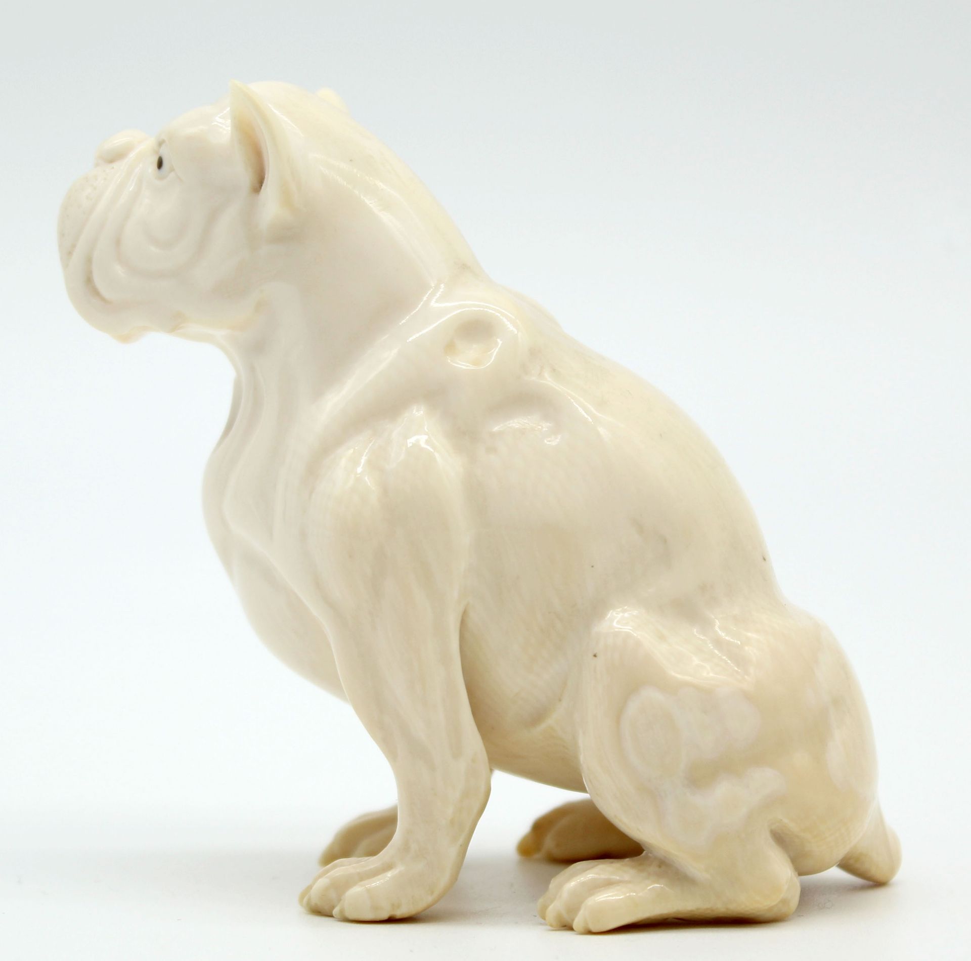 Dog ivory bulldog? around 1900. Probably Erbach. - Image 3 of 9