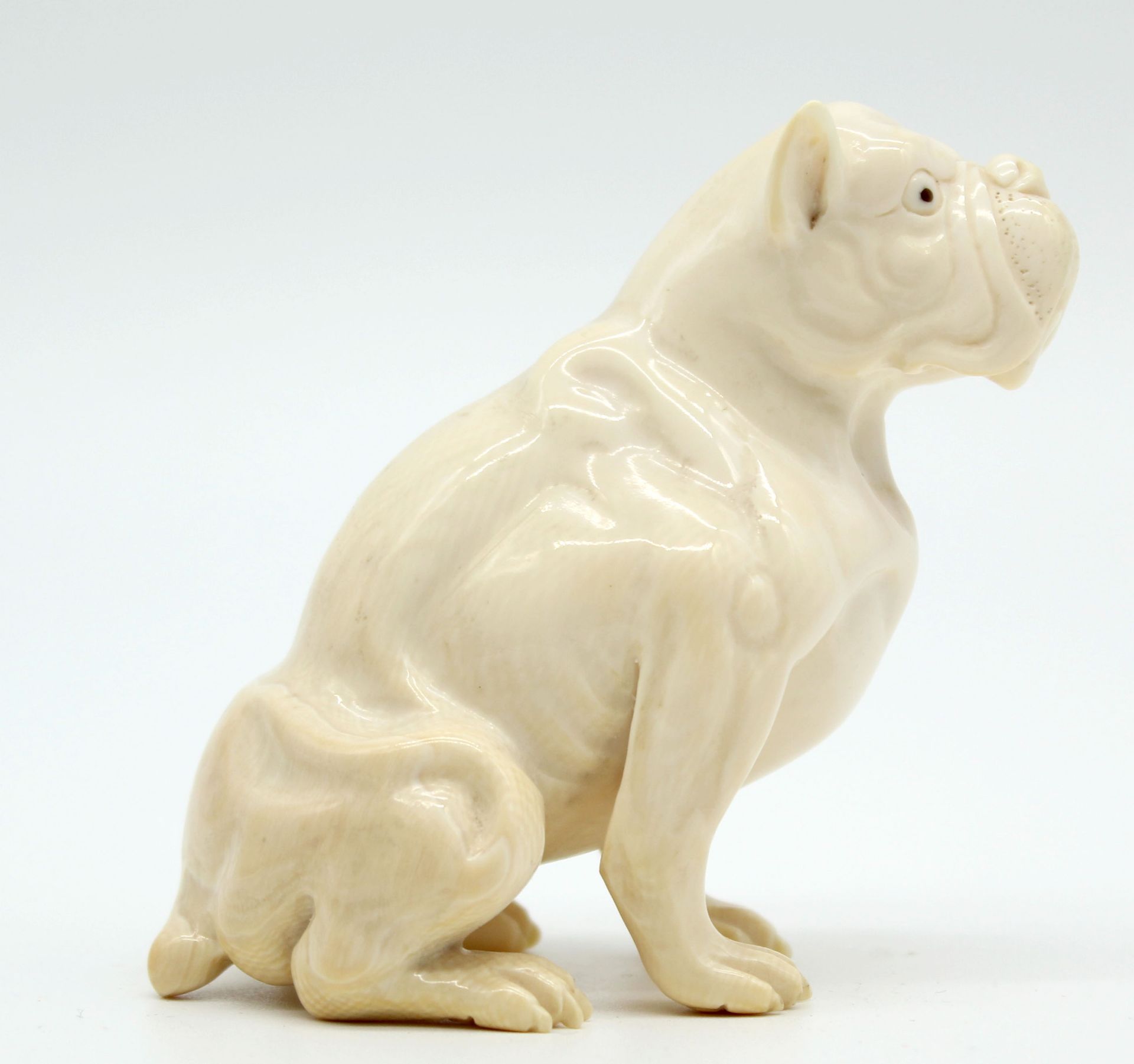 Dog ivory bulldog? around 1900. Probably Erbach. - Image 5 of 9