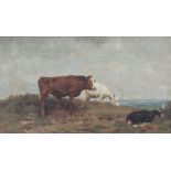 Julius Paul JUNGHANNS (1876 - 1958). Cow and 2 goats.