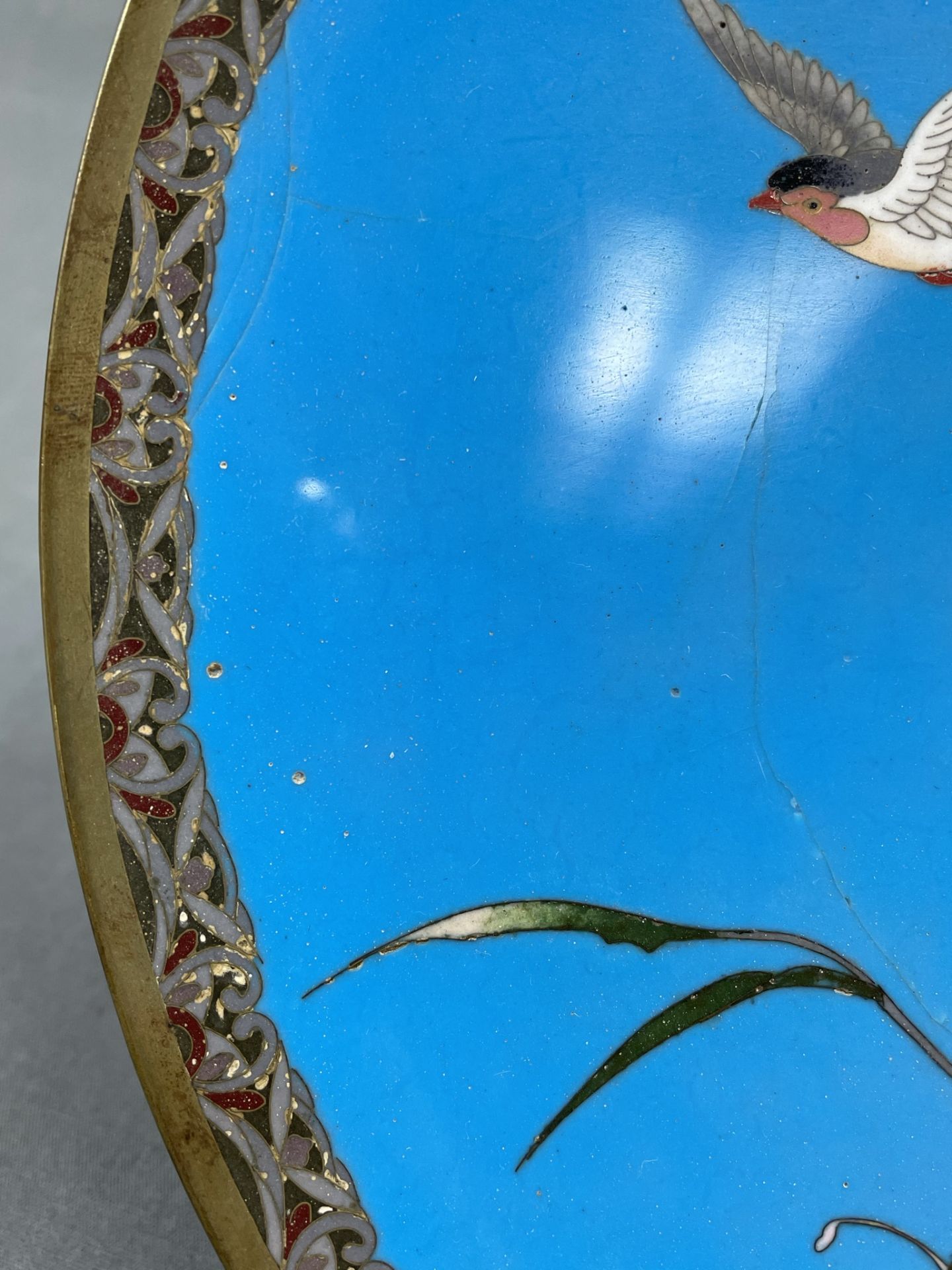3 Cloisonné Platten. Wohl Japan, China alt. Bis 36,5 cm Durchmesser. - Image 23 of 34