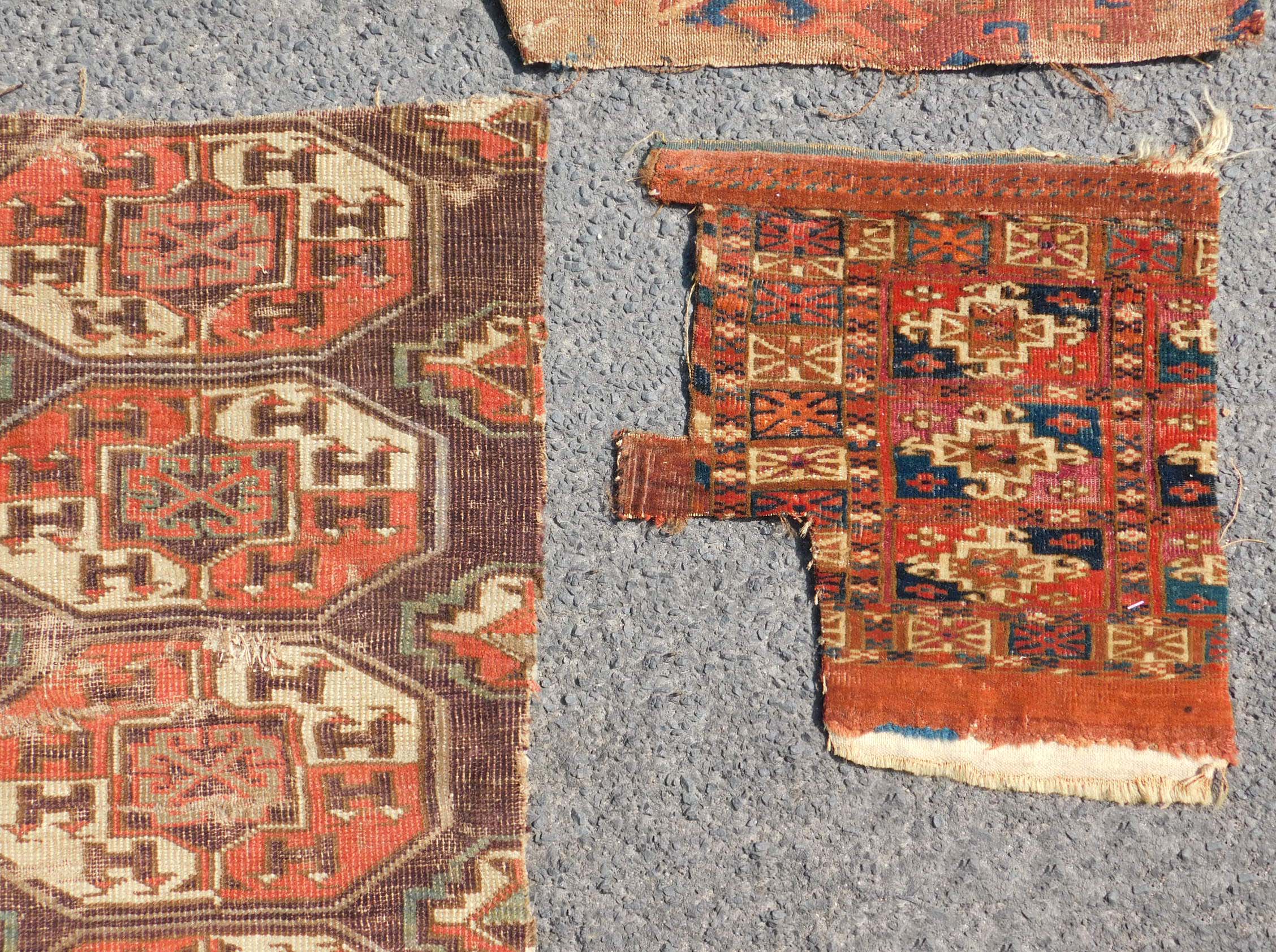 Studiensammlung. 5 Turkmenen Stammesteppich Fragmente. Antik. - Image 5 of 5