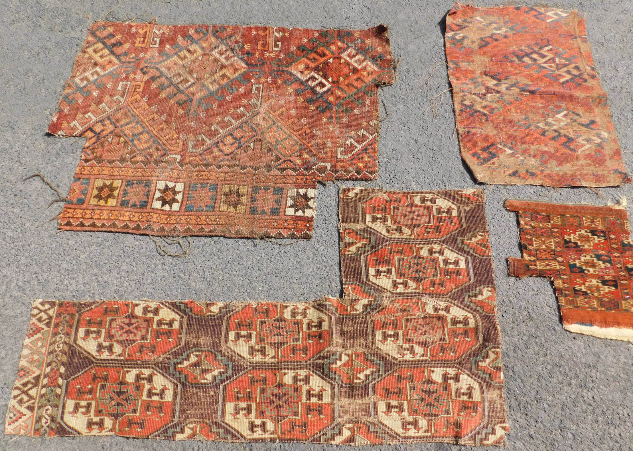 Studiensammlung. 5 Turkmenen Stammesteppich Fragmente. Antik. - Image 2 of 5