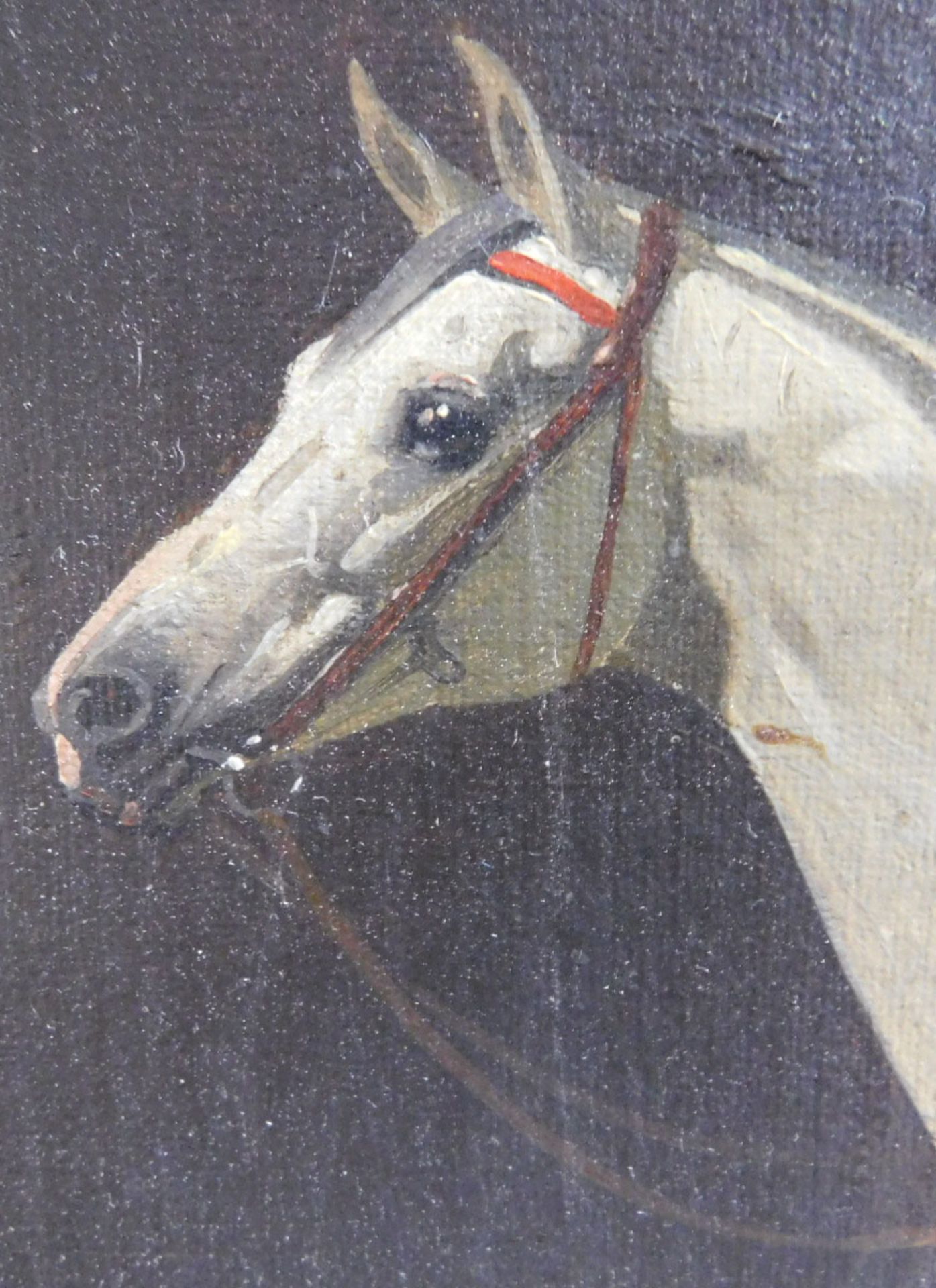 Emil VOLKERS (1831 - 1905). Schimmel. Pferd 1896. - Image 13 of 13