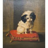 An oils on canvas portrait of a lapdog seated on a velvet cushion (58 x 50 cm), unframed TO BID ON