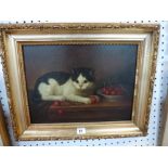 An oils on canvas, a black and white cat with a bowl of cherries (29 x 38 cm), old gilt frame TO BID