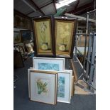 A small selection of various framed items, comprising a limited edition landscape, botanical prints,