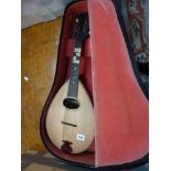 A cased string instrument - possibly a banjo TO BID ON THIS LOT AND FOR VIEWING APPOINTMENTS CONTACT