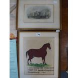 Indian school, gouache of a bay stallion standing in green pasture above deaunagar script,