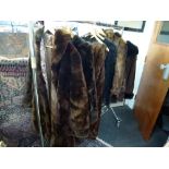 Ladies' fur coats and jackets including two beaver lamb coats, a brown sheepskin jacket, musquash