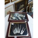 A display of nine Victorian and later fruit knives with silver blades and 16 loose Victorian and