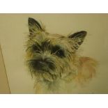 A good mixed lot of watercolours, including canine portraits, landscapes, etc., all framed (