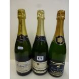 Champagne: Paul-Etienne Saint Germain (x1); Comtessa Rosa 1992 (x1); and Saint-Laurent Cremant de