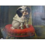 A Provincial school oils on canvas canine portrait of a self-conscious lap dog on a red cushion with