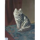 An oils on canvas feline portrait of a tabby cat (41 x 31 cm) WE DO NOT TAKE CREDIT CARDS OR CASH.