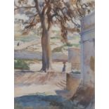 WATERCOLOR OF THE ROSELLO TREE BY STANIS DESSY