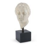 HEAD IN PLASTER AFTER A ROMAN MODEL 20TH CENTURY