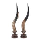 PAIR OF HORNS END 19TH CENTURY MOUNT