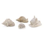 FOUR SEA SHELLS NOT DEFINABLE PERIOD