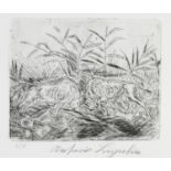 PAIR OF ENGRAVINGS BY ANTONIO LIGABUE 1954 ca.