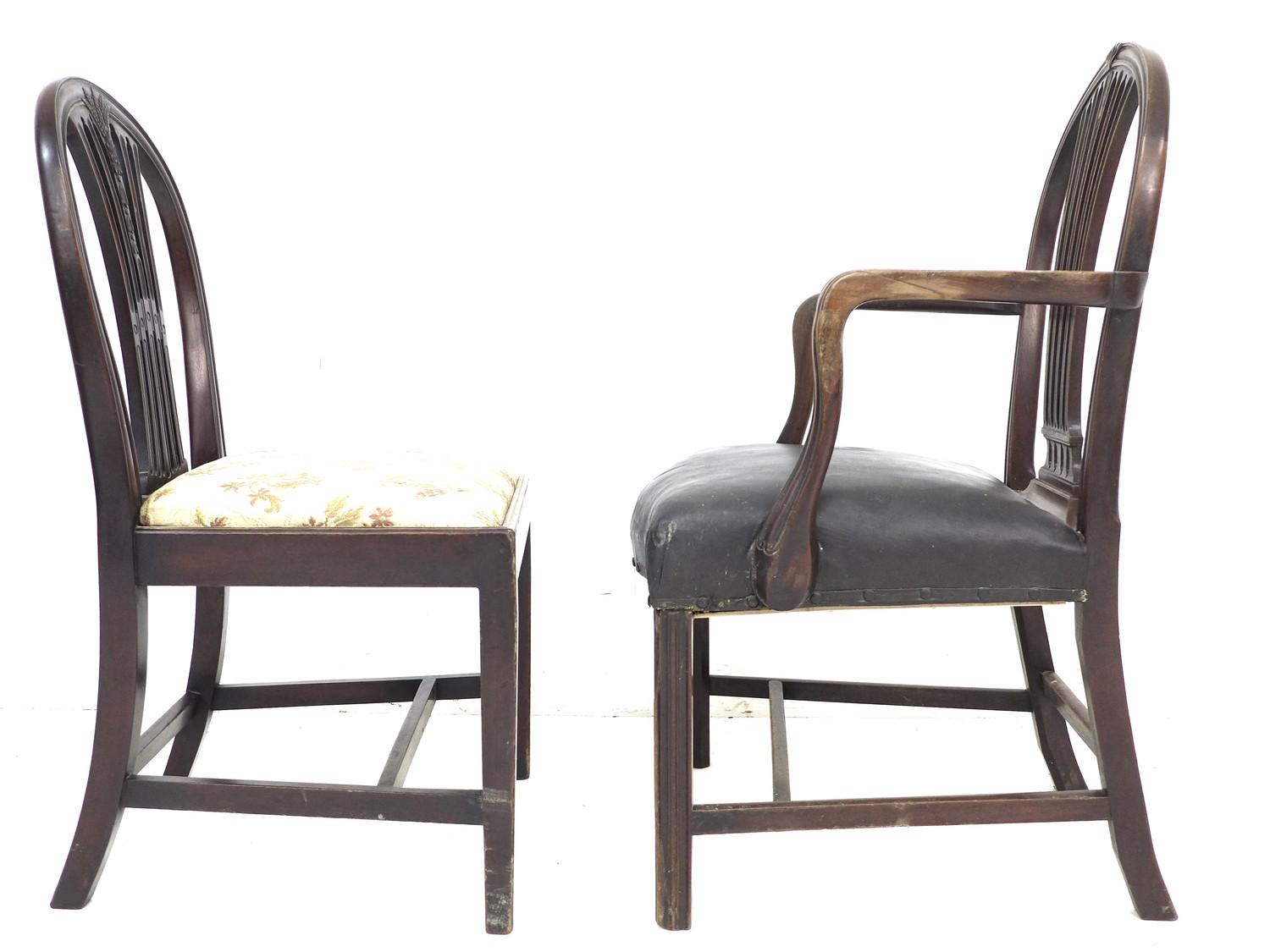 A group of three Georgian mahogany dining chairs, comprising a Hepplewhite style carver with black - Image 4 of 5