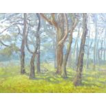 Norman Douglas Hughes (British, late 20th century): Woodland landscape oil on board, signed 'N.