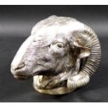 A contemporary silver plated wall sculpture, modelled as a ram's head, engraved hair detailing,