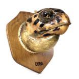 Taxidermy: a Cuban Hawksbill Turtle head, mounted upon a shield, 20 by 14cm.