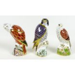 A group of three Royal Crown Derby paperweights, all modelled as birds of prey, comprising 'Red