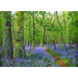 Peter Barker (British, b. 1954): 'Bluebells at Barnsdale', signed lower left, oil on board, 9 by