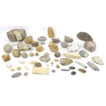 A collection of various archaeological and geological finds, including a piece from a Roman rotary