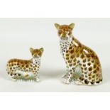 Two Royal Crown Derby paperweights, modelled as 'Leopardess', MMXI, gold stopper, 13.3cm high,