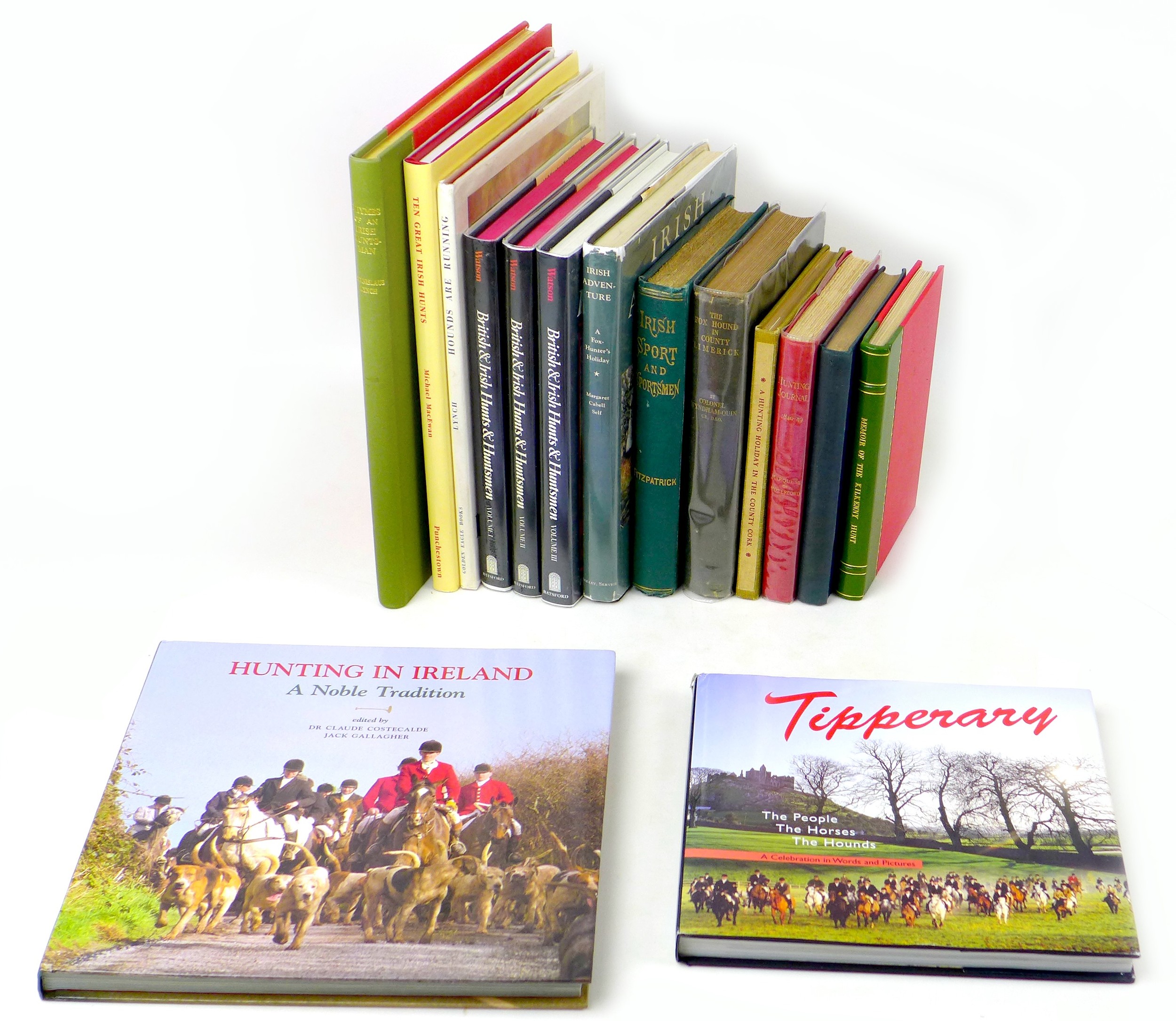 Fifteen 19th century and later Irish Sporting themed books, including 'Memoir of The Kilkenny