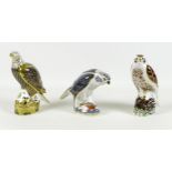 A group of three Royal Crown Derby paperweights, all modelled as birds of prey, comprising White