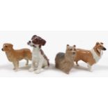A group of four Beswick dogs, including 'Gnawing', model 2947, white and tan - gloss, 10.8cm
