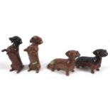 A group of four Beswick Dachshund figurines, comprising two 'Dachshund - Begging', model 1461, tan -