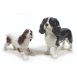Two Beswick Spaniel figurines, comprising a 'King Charles Spaniel "Josephine of Blagreaves" ', model