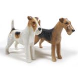Two Beswick Terrier figurines, comprising 'Wired-Haired Terrier "Talavera Romulus'', model 963,
