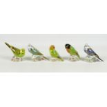 A group of five Royal Crown Derby paperweights, all modelled as birds, comprising Spangle Grey '