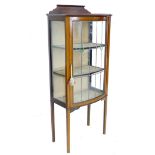 An Edwardian mahogany bow fronted display cabinet, single leaded glazed door enclosing two