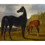 John Frederick Herring, Sr. (British, 1795-1865): equine double portrait, depicting a mare and her