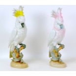 Two Royal Dux Parrot figurines, the tallest with yellow tinged plumage, 40.5cm high, the other