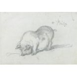 George Chinnery (British, 1774-1852): a pencil study of a sway back pig, inscribed with shorthand