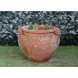 After a design by Gertrude Jekyll, a terracotta Compton Pottery style scroll handle Celtic pot,