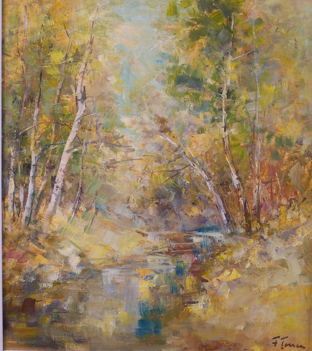 F*** Tonea (20th Century), A woodland stream, signed 'F Tonea' (lower right), oil on canvas,